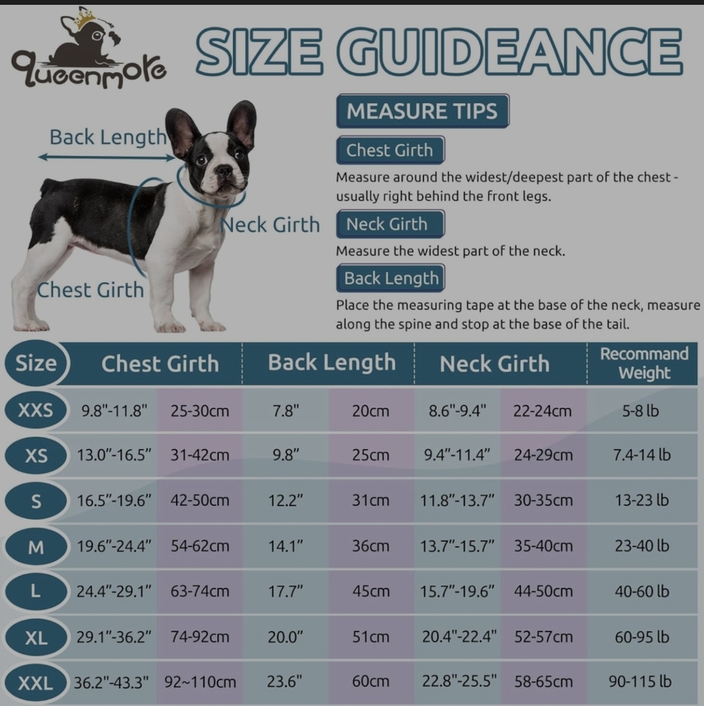 New dog jacket - Picture 3 of 3
